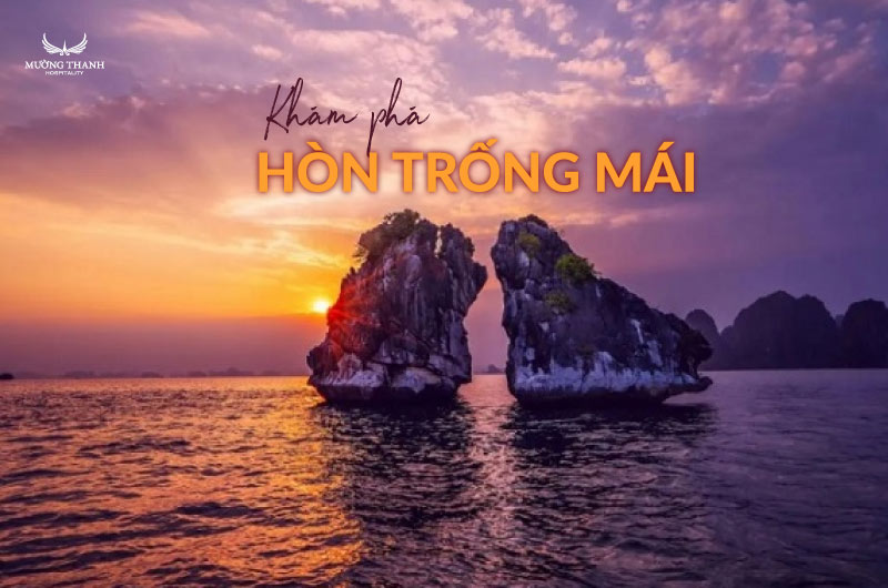 images/news/2025/07/original/kham-pha-hon-trong-mai_1751524444.jpg