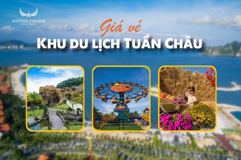 images/news/2025/08/original/gia-ve-khu-du-lich-tuan-chau_1754903035.jpg